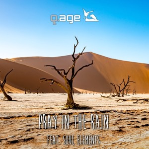 Pray in the Rain (Explicit)