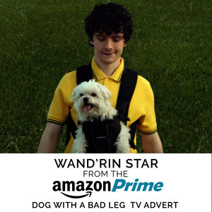 Wand'rin' Star (From The "Amazon Prime - Dog with a Bad Leg" T.V. Advert)