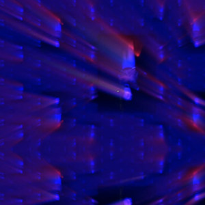 ほとんど負け犬だ