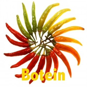 Botein