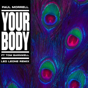 Your Body (feat. Tom Barnwell) (Leo Leone Remix)