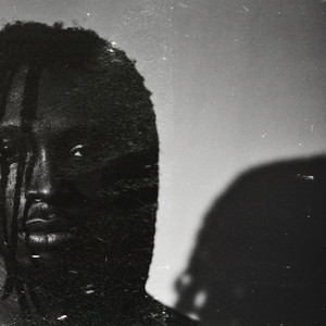 PANTHER (Explicit)