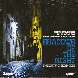 Shadows of the Night (Dirty Disco Airplay Edit)