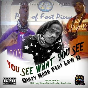 You See, What You See(feat. Law D) (Explicit)