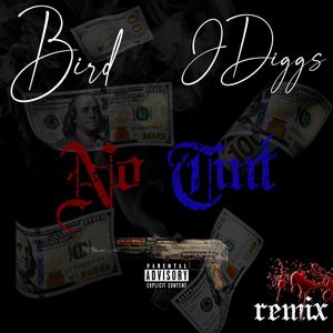 No Tint (feat. J-Diggs) [Remix] [Explicit]