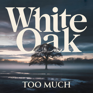 too much (slowed but softcore)