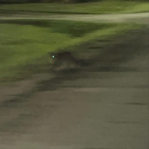 Hollywood Hills (feat. MTMJ) (Explicit)