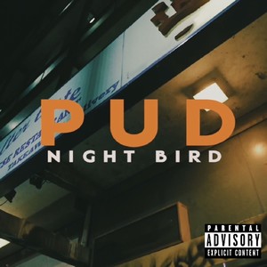 Night Bird (Explicit)