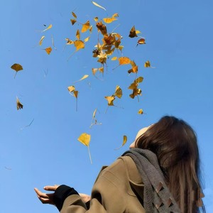 中国年 (过年专用BGM)