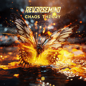 Chaos Theory