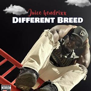 Different Breed (Explicit)