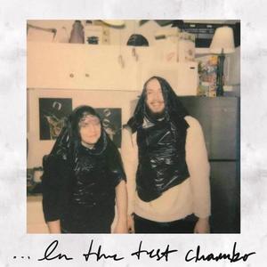 ...In the Test Chamber (Explicit)