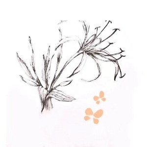 萱草花 (和声版)