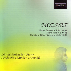 Quartet in E-Flat Major for Piano, Violin, Viola and Cello, K. 493 - Allegro (降E大调钢琴、小提琴、中提琴和大提琴四重奏，作品493 - 快板)
