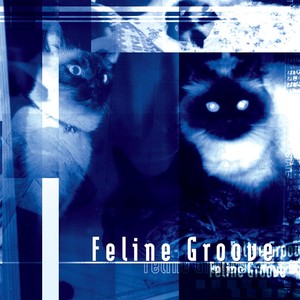 Feline Groove (Explicit)