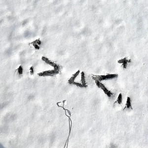 在深秋 (加速版)