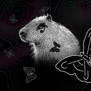 Не вижу лета