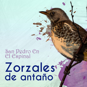 Zorzales de Antaño…San Pedro En El Espinal