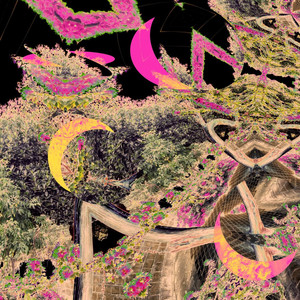 Dear Craving (iO Remix)