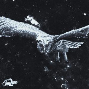 VILLAIN (feat. Rzy) (Explicit)