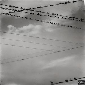 Estate (feat. Pro Dway) (Explicit)