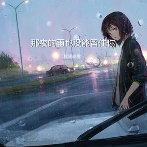 那夜的雨也没能留住你