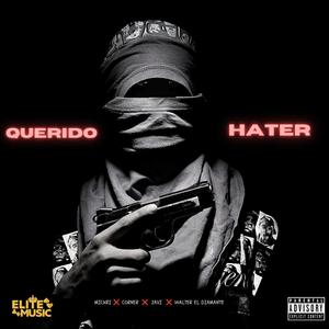 Querido Hater (feat. Javi el Versátil, Mickri & Walter el diamante) (Explicit)