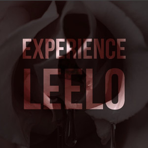 Experience (Explicit)