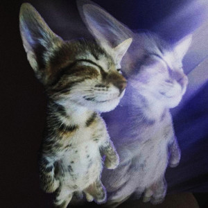 why everything has to be so messy