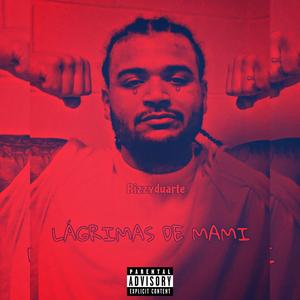 Lagrimas de Mami (Explicit)