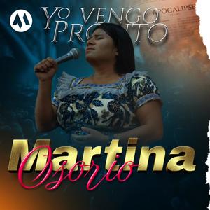 Algo Está Cayendo Aquí