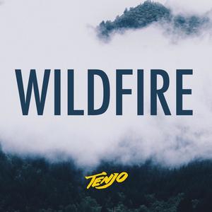 Wildfire