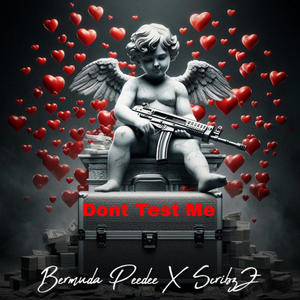 Dont Test Me (feat. ScribzZ) (Explicit)