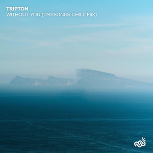 Without You (tmysongs Remix)