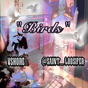 BIRDS (feat. VSHORE) (Original Mix|Explicit)
