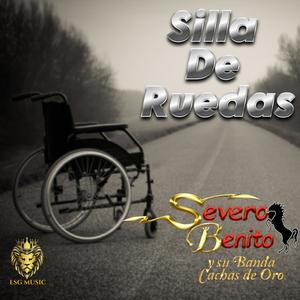 Silla De Ruedas
