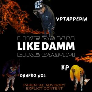 Like Damm (feat. Kp & Drakko Nol) [Explicit]