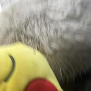 dead guys (feat. AVRGE) (Explicit)