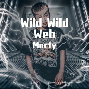 John The Whistler-Wild Wild Web (John The Whistler remix)