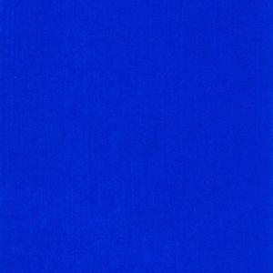 Fasho! (feat. Kartii) (Explicit)