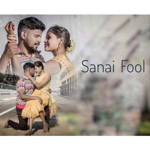 Sanai Fool