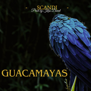 Guacamayas