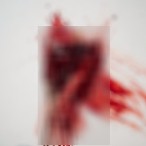 O Tempo Que Não Volta Mais