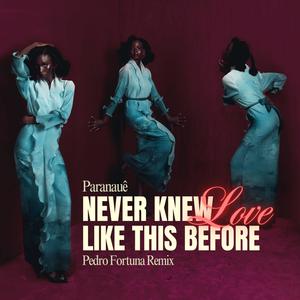 Never Knew Love Like This Before (feat. Dj Pedro Fortuna|Radio Mix)