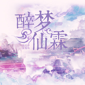 董贞 - 醉梦仙霖 (小提琴演奏版)