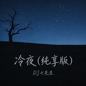 冷夜-DJ七先生