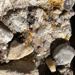 SPED x BLED JackHammeringDrillMuzik (#4) (Explicit)