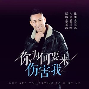 你为何要来伤害我