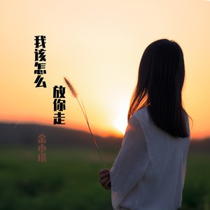 我该怎么放你走