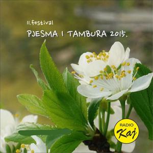 Pjesma i tambura 2015.